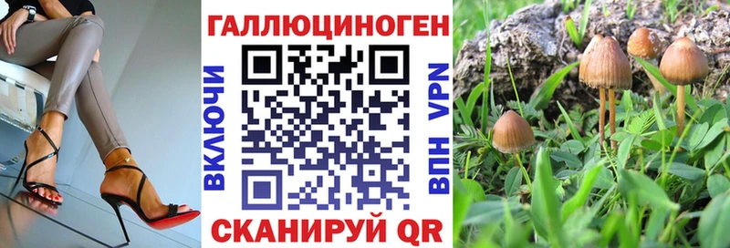 shop как зайти  OMG ссылки  Кыштым  Псилоцибиновые грибы GOLDEN TEACHER 