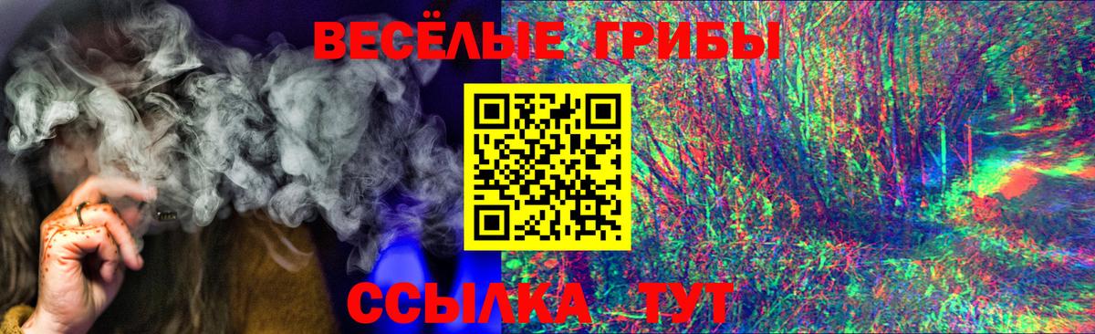 Галлюциногенные грибы прущие грибы  наркота  Кыштым  Вход с VPN 